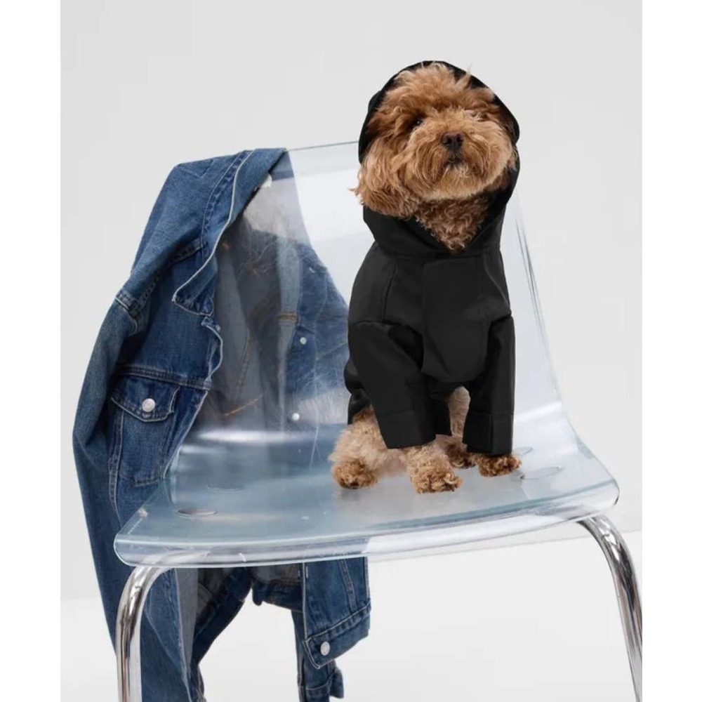 Gap Pet - Rain Jacket / True Black / S / NWT
